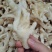 无骨凤爪脱骨鸡爪无骨鸡爪冻品鸡爪无骨鸡爪冻品冷冻无骨鸡爪