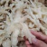 无骨凤爪脱骨鸡爪无骨鸡爪冻品鸡爪无骨鸡爪冻品冷冻无骨鸡爪