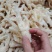 无骨凤爪脱骨鸡爪无骨鸡爪冻品鸡爪无骨鸡爪冻品冷冻无骨鸡爪