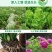 复合微生物菌剂微生物菌剂,菌剂生物肥料菌肥,源沃肥业