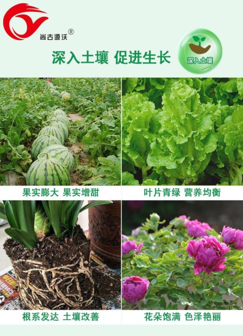 复合微生物菌剂微生物菌剂，菌剂生物肥料菌肥，源沃肥业