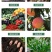 复合微生物菌剂微生物菌剂,菌剂生物肥料菌肥,源沃肥业