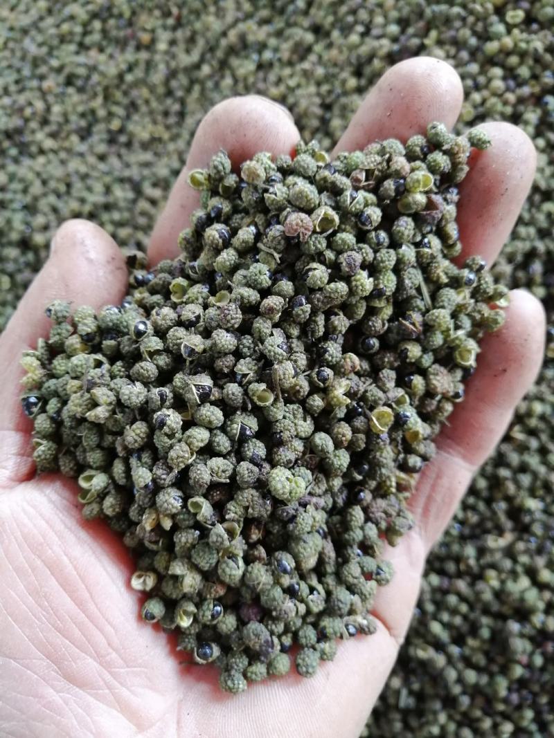 九叶青花椒，无污染种植，麻辣香味足，油袍饱满！转红椒大量