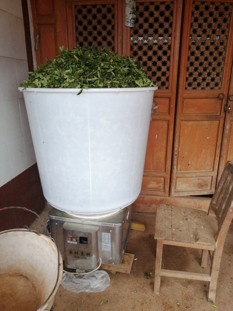 九叶青花椒，无污染种植，麻辣香味足，油袍饱满！转红椒大量