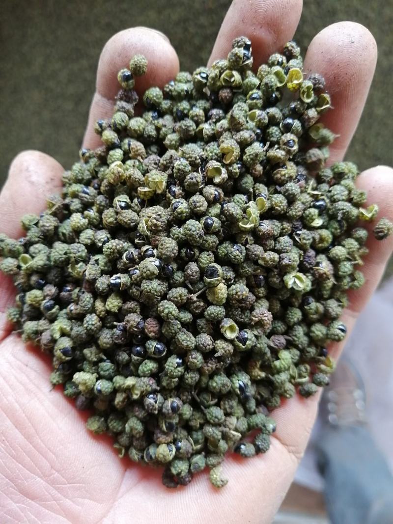 九叶青花椒，无污染种植，麻辣香味足，油袍饱满！转红椒大量