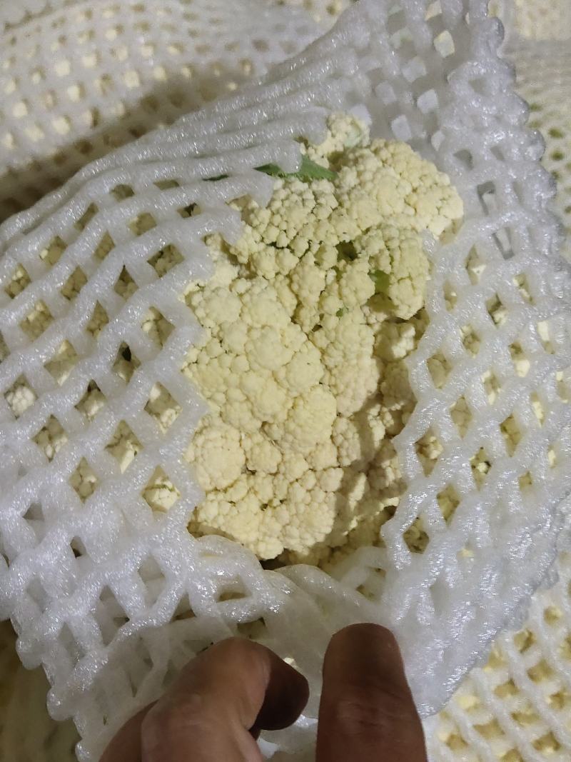 散花大量上市需要的联系