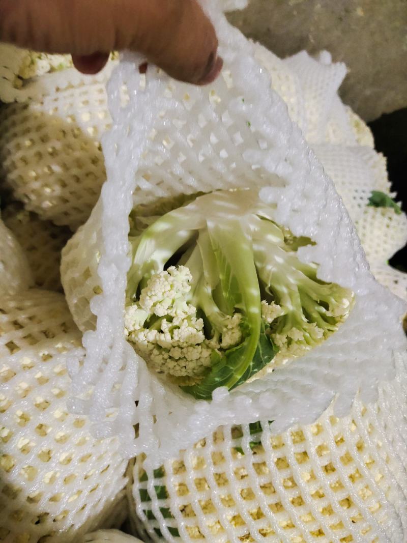 散花大量上市需要的联系