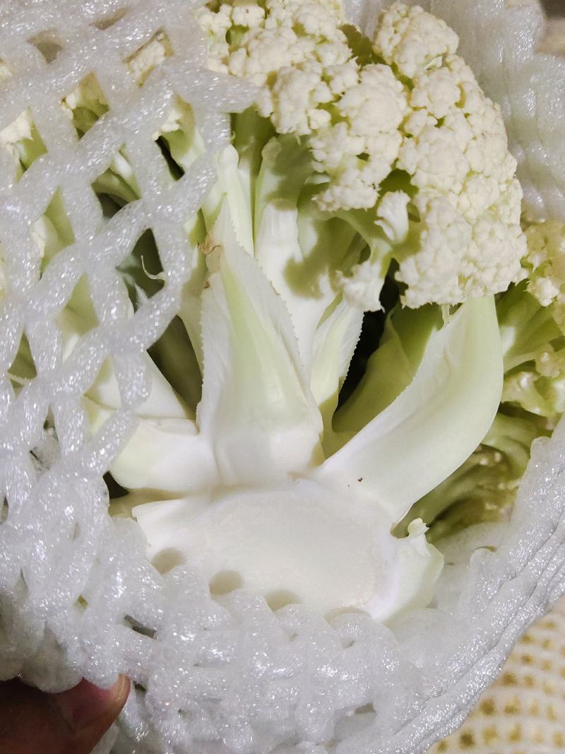 散花大量上市需要的联系