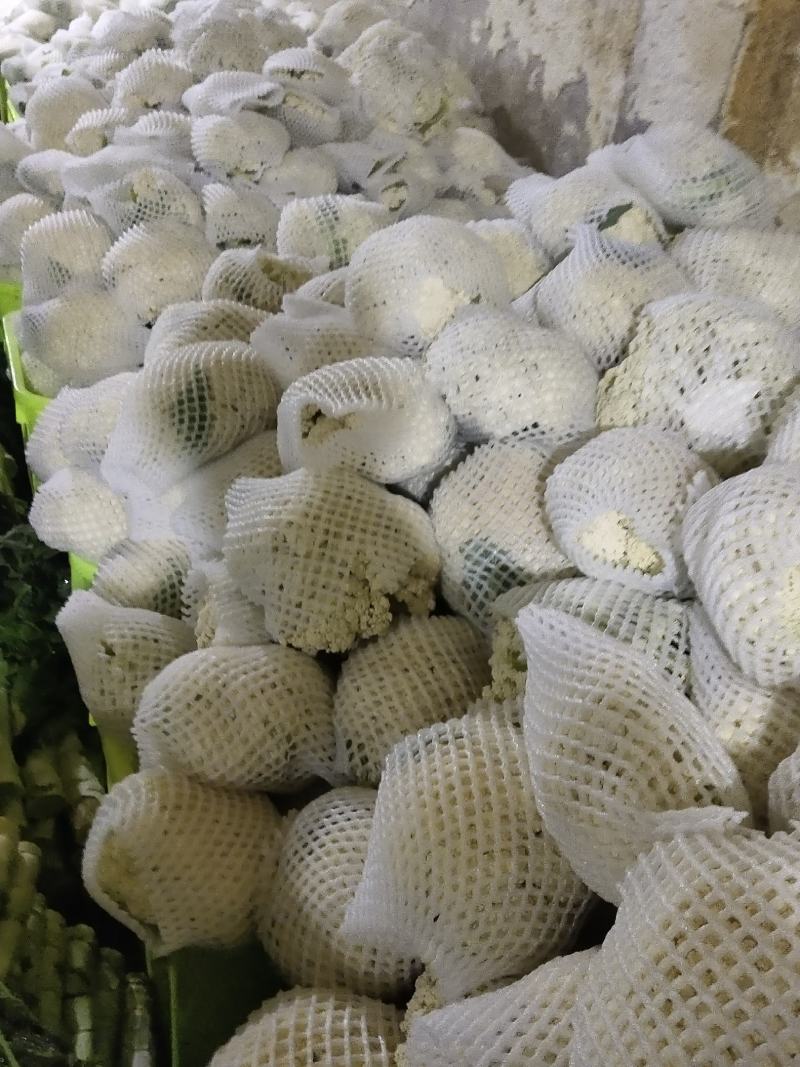 散花大量上市需要的联系