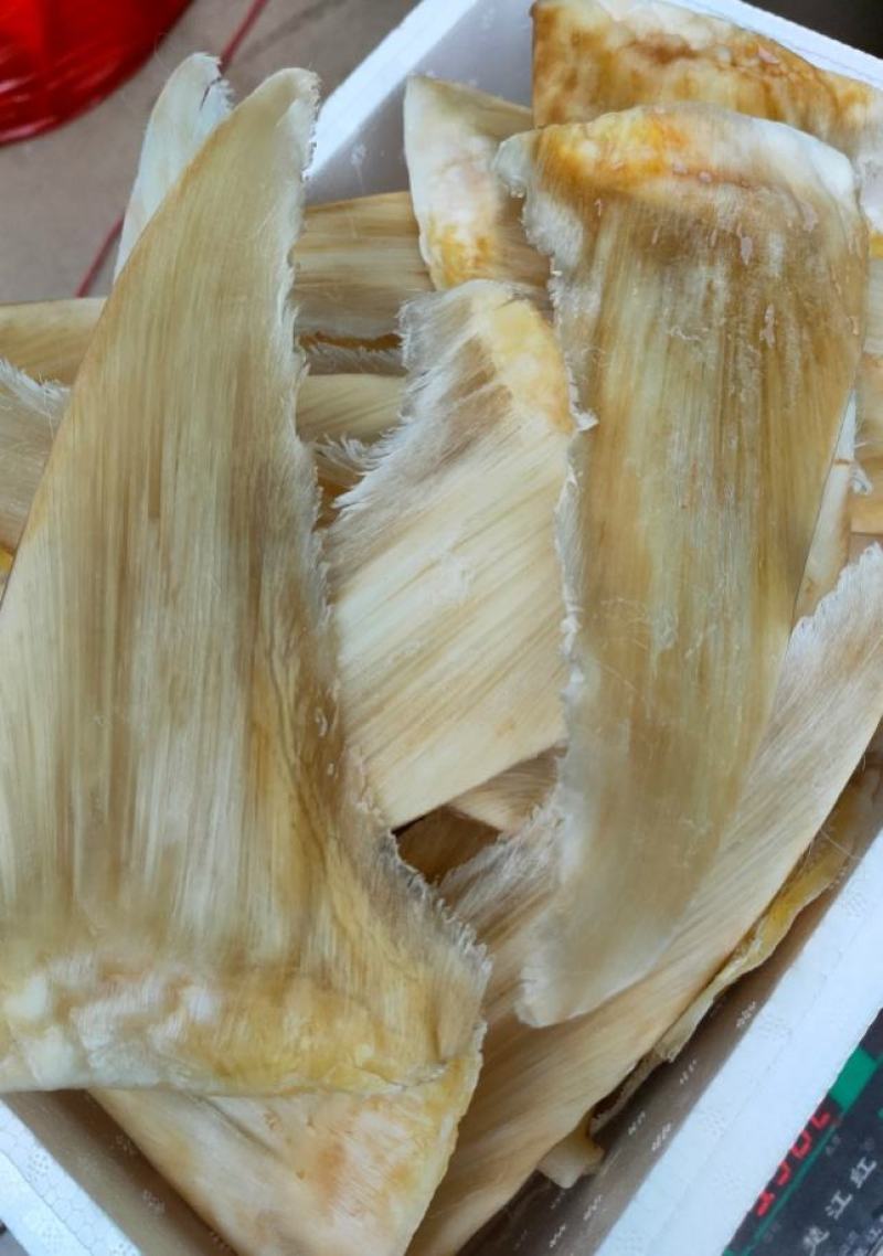 8-10寸金钩鲨鱼翅批发