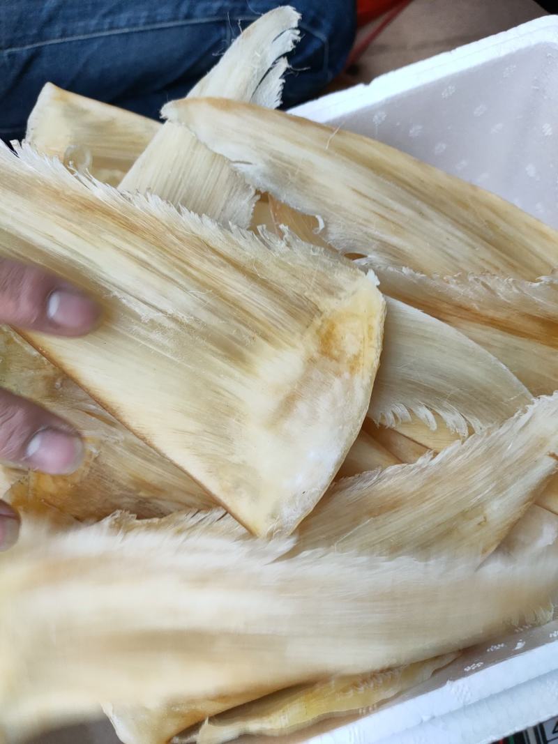 8-10寸金钩鲨鱼翅批发