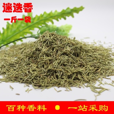 香料迷迭香货品质量保证批发各种中药材