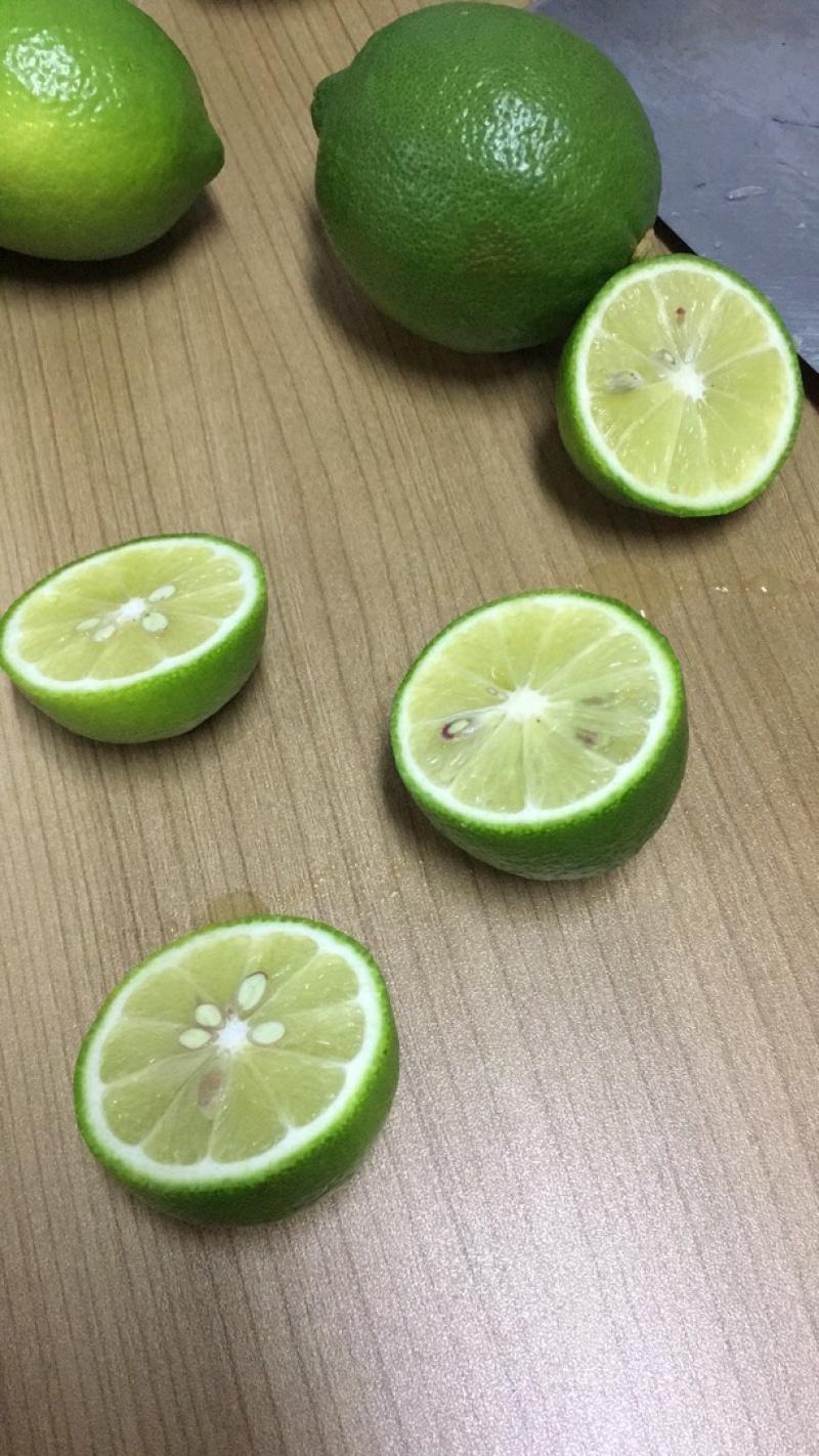广东大型尤力克青柠檬基地直供