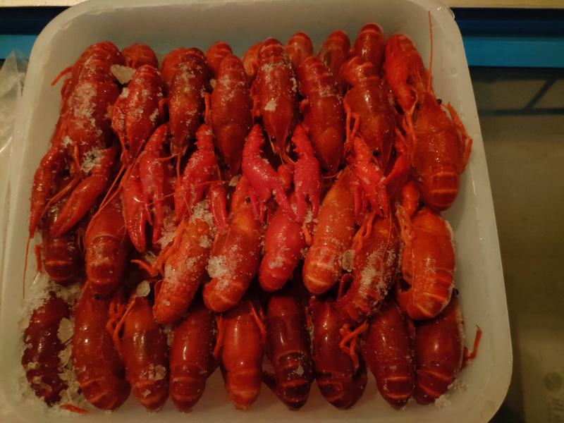 清水虾4/5/6带头，清水虾，清水虾