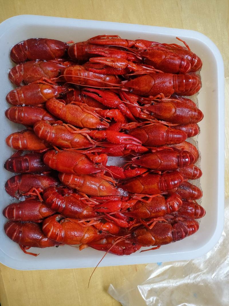 清水虾4/5/6带头，清水虾，清水虾