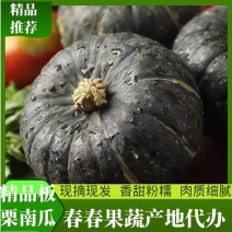 陕西板栗南瓜精品板栗南瓜批发现摘现发口感干面甜欢迎采购