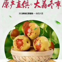 陕西鲜枣冬枣供应，产地直供，一手货源，质量保证