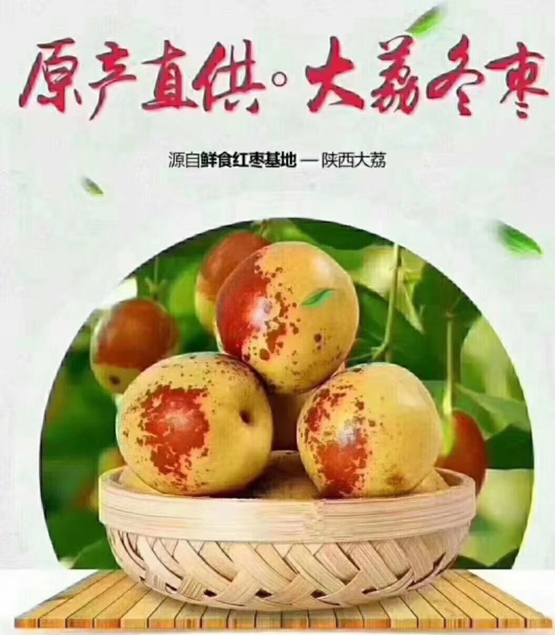 陕西鲜枣冬枣供应，产地直供，一手货源，质量保证