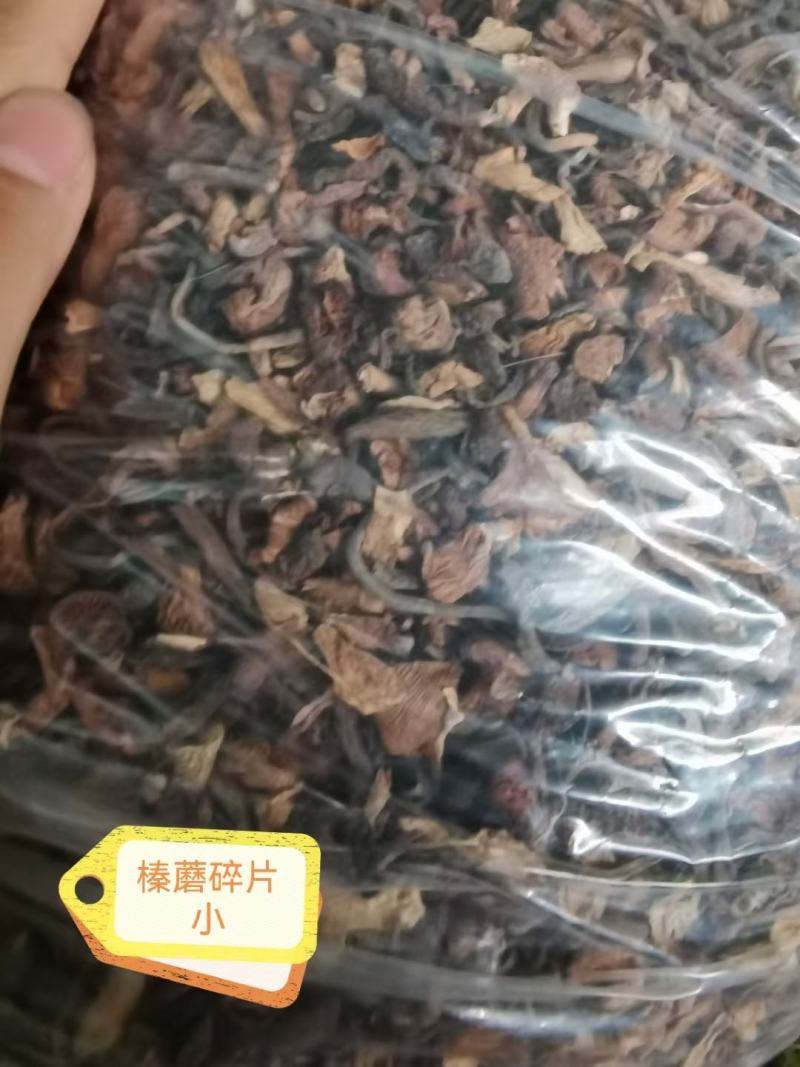 榛蘑碎片，可做汤料酱料，质量好，榛蘑碎片