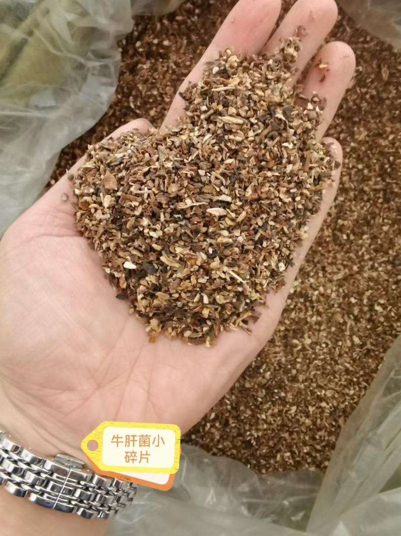 榛蘑碎片，可做汤料酱料，质量好，榛蘑碎片