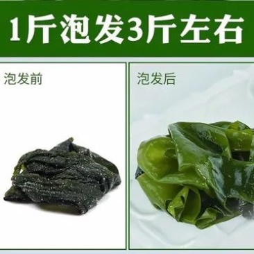 网红同款盐渍裙带菜餐桌必备凉菜嫩海带叶5斤包邮
