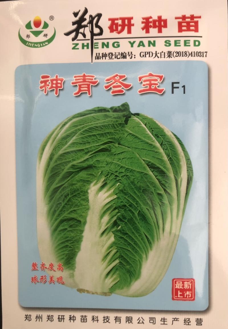 【精选】河南郑研白菜种子耐寒好吃高产品质优欢迎下单