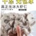 新鲜虾仁200g/冷冻国产开背超大虾仁鲜虾仁现剥