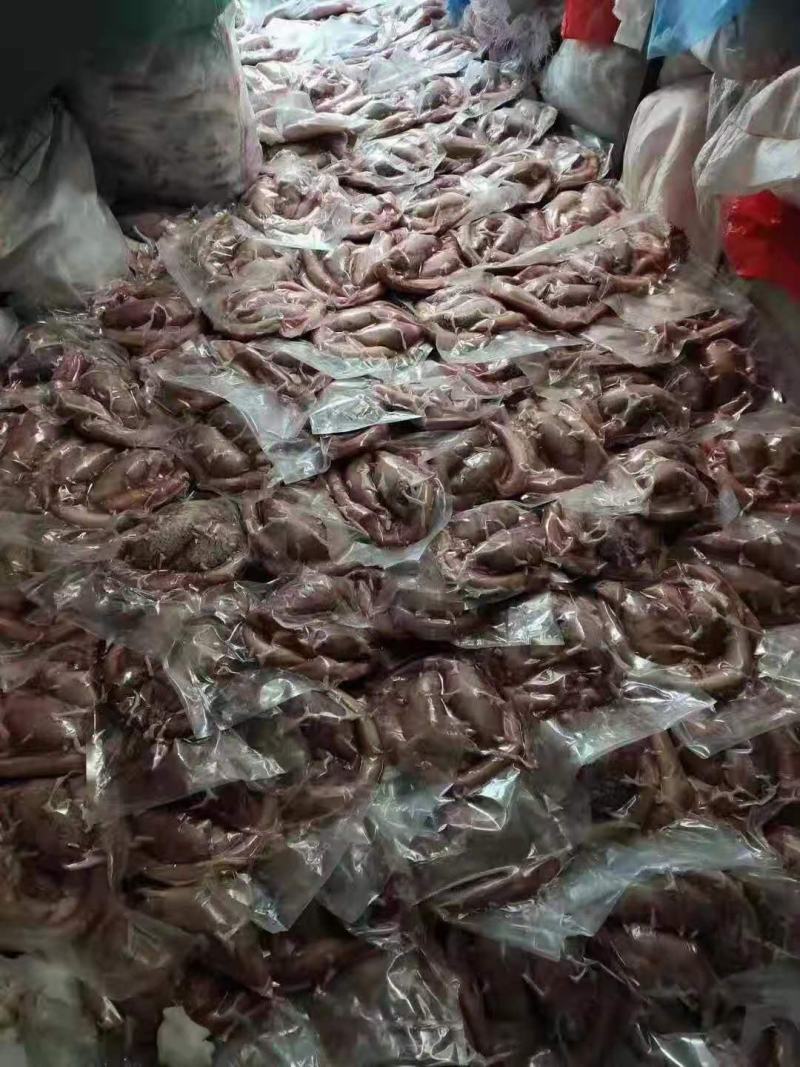 牛鞭宝，质量看的见，一手货源，全国冷链发货