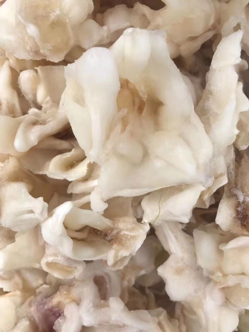 鱿鱼脖鱿鱼脖子鱿鱼脆20斤装不包运费