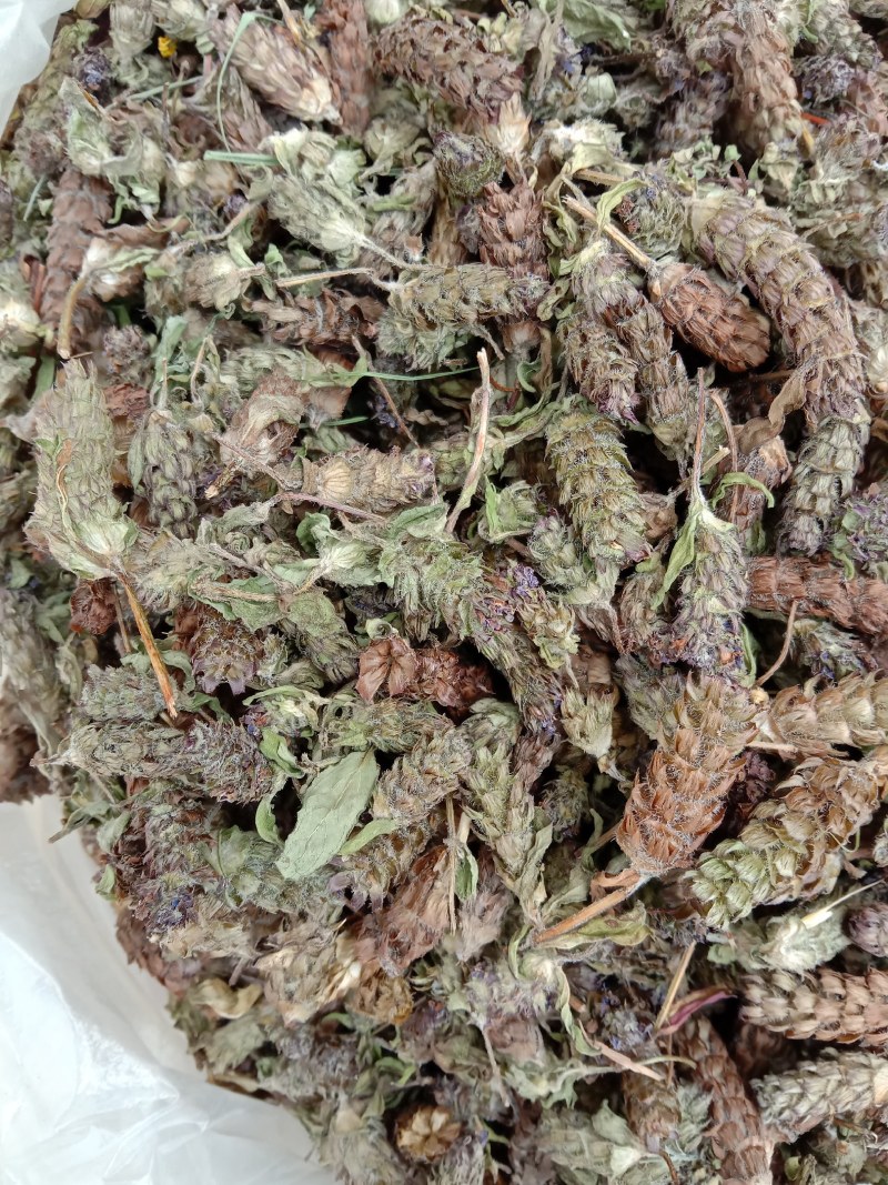 夏枯球，全球，大货大量供应，颜色漂亮，欢迎你的订购