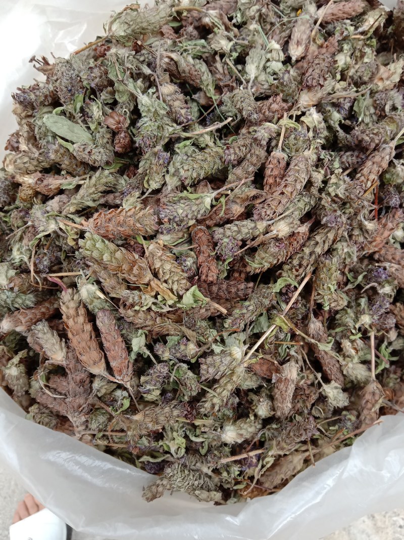 夏枯球，全球，大货大量供应，颜色漂亮，欢迎你的订购