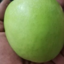 华硕，