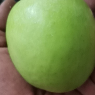 华硕，