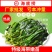 新鲜盐渍海带1斤