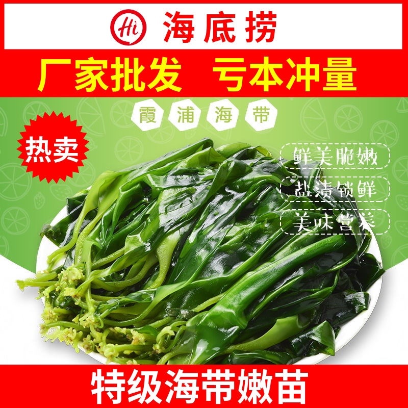 新鲜盐渍海带1斤