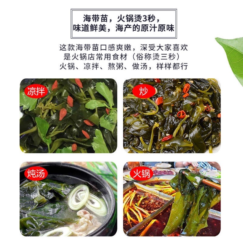新鲜盐渍海带1斤