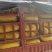 精品鲜花生，大白沙小白沙湿花生过筛子手选果电商市场大量