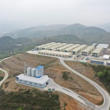 贵州本地红心蛋，鸡场直发，大厂规模，量大从优