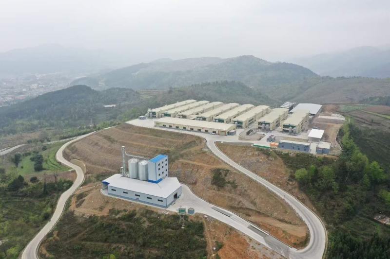 贵州本地红心蛋，鸡场直发，大厂规模，量大从优
