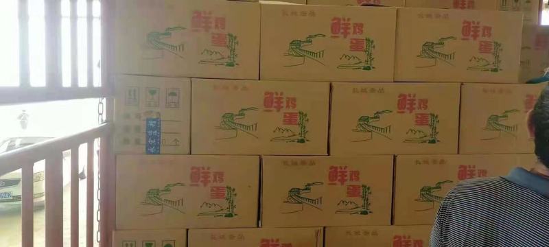 贵州本地红心蛋，鸡场直发，大厂规模，量大从优