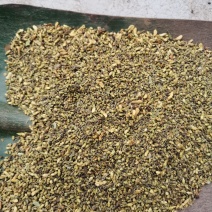 十吨槐米