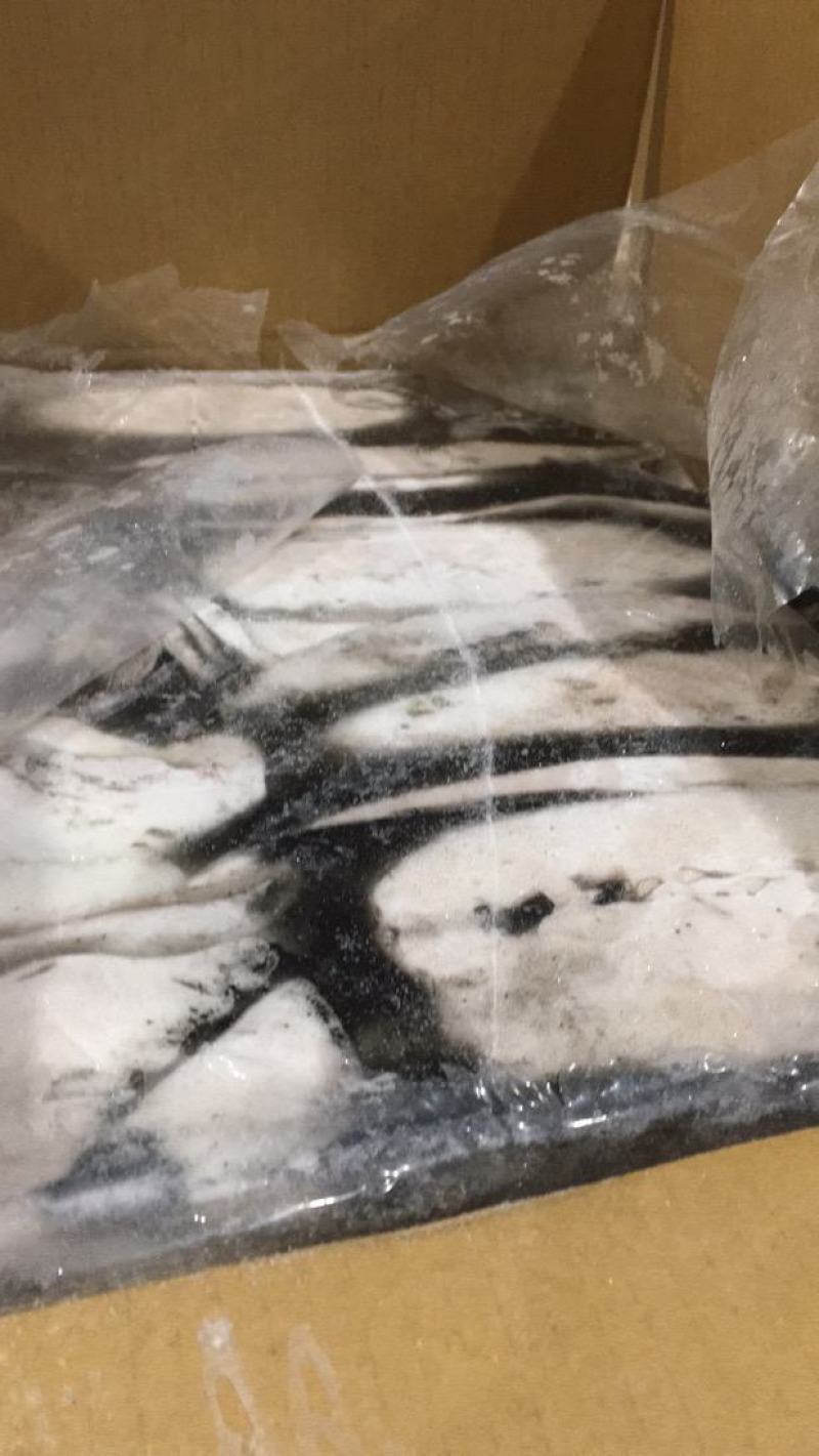 马来西亚墨鱼