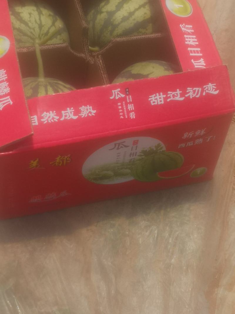 夏邑西瓜美都西瓜西瓜美都一手货源，大量上市