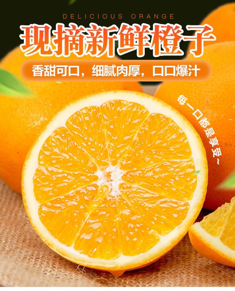 夏橙当季新鲜夏橙橙子新鲜橙子秭归脐橙水果当季现摘橙子