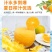 夏橙当季新鲜夏橙橙子新鲜橙子秭归脐橙水果当季现摘橙子
