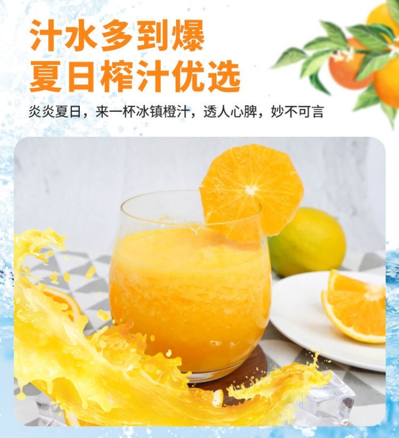 夏橙当季新鲜夏橙橙子新鲜橙子秭归脐橙水果当季现摘橙子