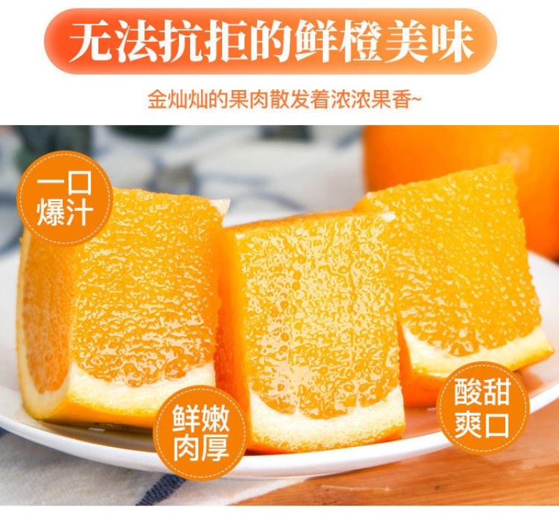 夏橙当季新鲜夏橙橙子新鲜橙子秭归脐橙水果当季现摘橙子