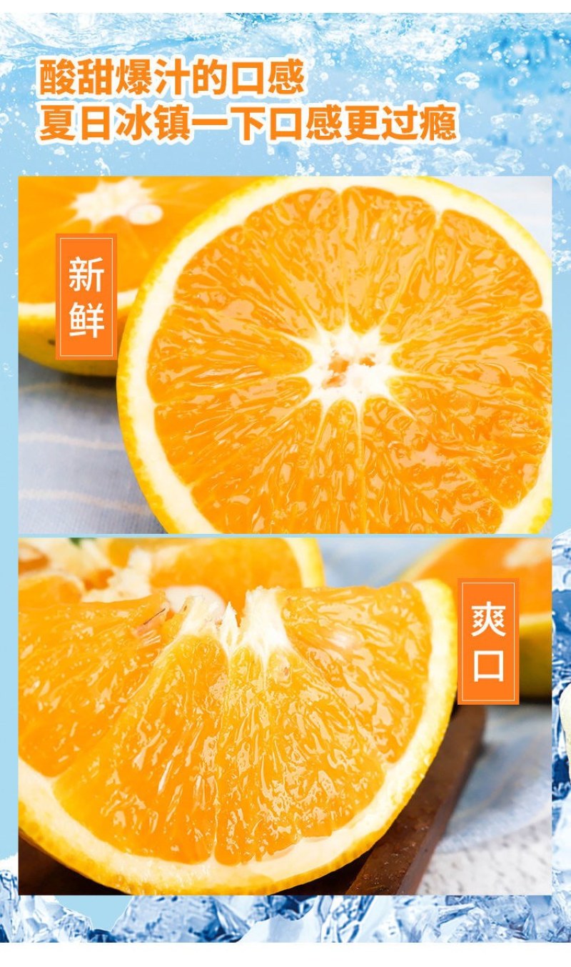 夏橙当季新鲜夏橙橙子新鲜橙子秭归脐橙水果当季现摘橙子