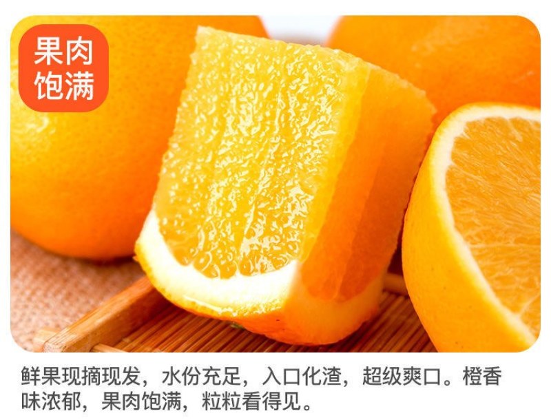 夏橙当季新鲜夏橙橙子新鲜橙子秭归脐橙水果当季现摘橙子