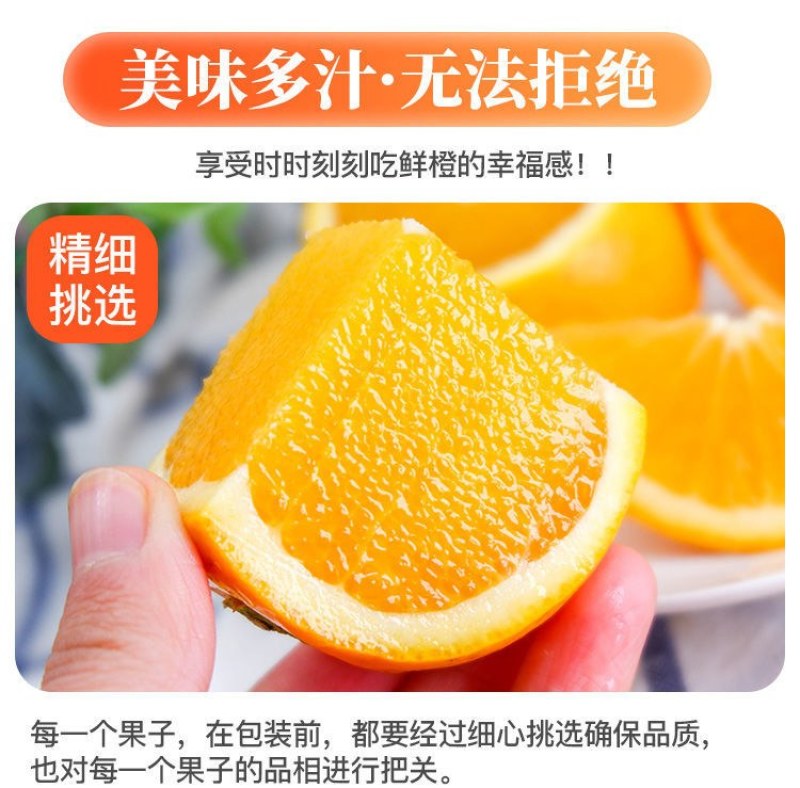 夏橙当季新鲜夏橙橙子新鲜橙子秭归脐橙水果当季现摘橙子